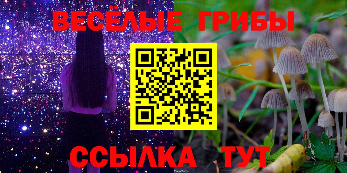Галлюциногенные грибы Psilocybine cubensis  Вход с VPN  Псилоцибиновые грибы MAGIC MUSHROOMS  Отрадное 